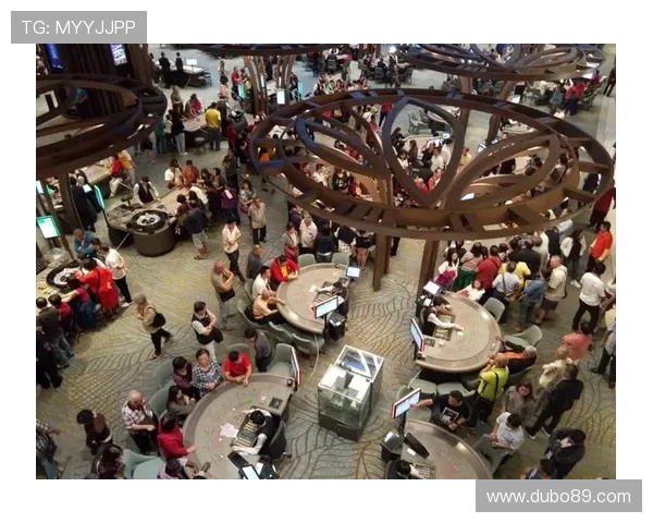 云顶赌场的文化活动：体验多元化的娱乐节目